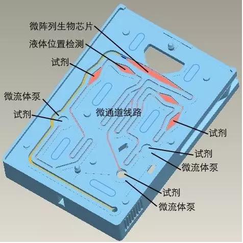 圖3 理邦m16微流控測試卡結(jié)構(gòu) 圖3 理邦m16微流控測試卡結(jié)構(gòu)