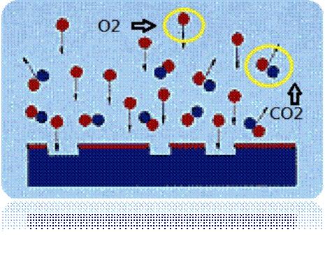 圖二為已被電離化的氣體分子團（Plasma）對被處理材料的分子團進行撞擊及反應(yīng)。