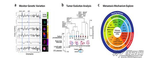 檢測腫瘤進展期間臨床相關的基因變異 檢測腫瘤進展期間臨床相關的基因變異