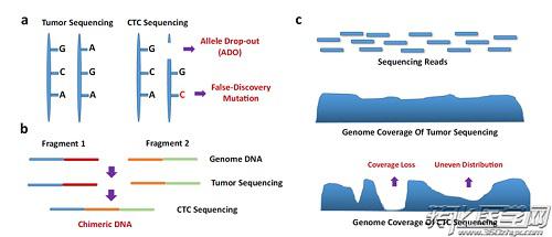 CTC測序的挑戰(zhàn)與未來展望 CTC測序的挑戰(zhàn)與未來展望