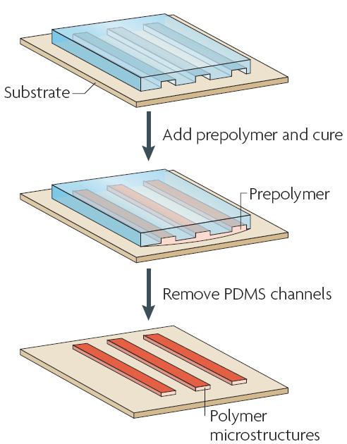 圖4 毛細管成形技術(shù)的過程