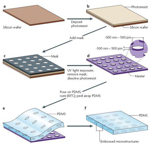 集成微結(jié)構(gòu)的PDMS層的加工過程