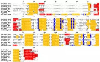設計PPI治療方案，多考慮點