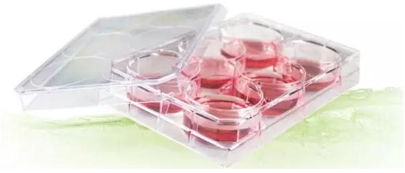 有限稀釋法（Limiting Dilution）