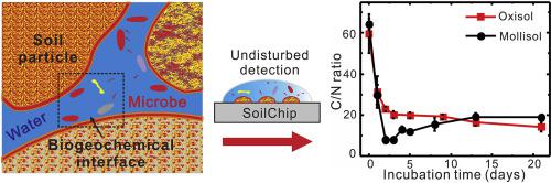 采用濕潤性圖案化微流控芯片技術(shù)用于土壤生物地球化學界面的形成過程研究