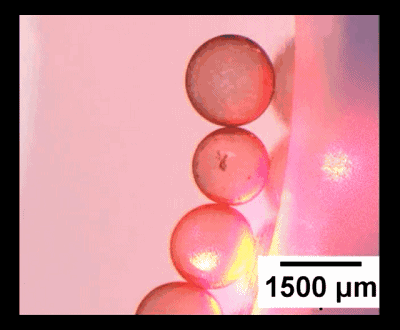 圖4. “齒輪”型液滴機(jī)械系統(tǒng)。