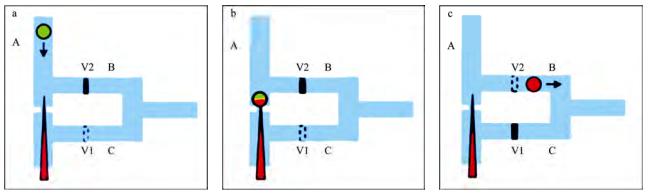 圖2微流控芯片中的單細胞微注射系統(tǒng)