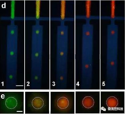 微流控系統(tǒng)中毛細(xì)管電泳（CE）分離技術(shù)