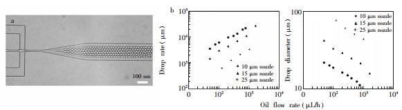 圖4 液滴產(chǎn)生過程中的穩(wěn)定性 圖4 液滴產(chǎn)生過程中的穩(wěn)定性