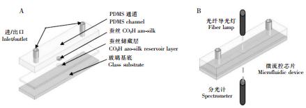 圖 3 基于 PDMS 材質(zhì)的可穿戴式的汗液 pH 檢測(cè)芯片