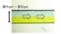 流動微反應優(yōu)點 流動微反應優(yōu)點
