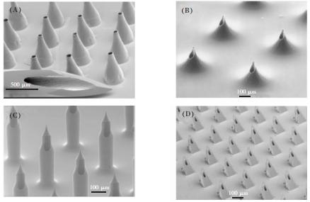 圖1不同種類的微針。(A)金屬錐形針(B)中心偏置的火山形針(C)城堡形狀的針頭(D)鋸齒形的針頭
