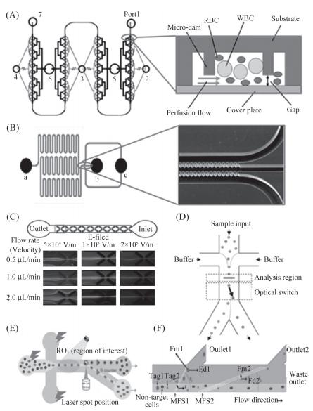 分選血細胞的PMMA微流控芯片 分選血細胞的PMMA微流控芯片
