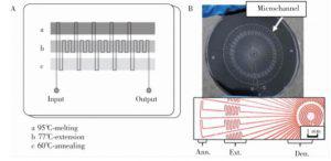圖2&nbsp; 蛇形通道型 PCR芯片:(A) 平行通道 PCR芯片，(B) 輻射通道 PCR芯片