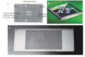 圖1&nbsp; 微池型 PCR芯片: (A) 單反應(yīng)池 PCR芯片，(B) 液滴虛擬微池 PCR芯片， (C) 微池陣列 PCR芯片