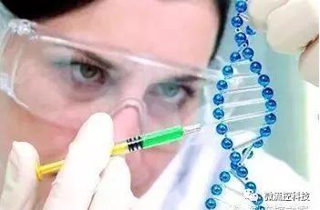 微流控技術(shù)在基因分析研究中的應用