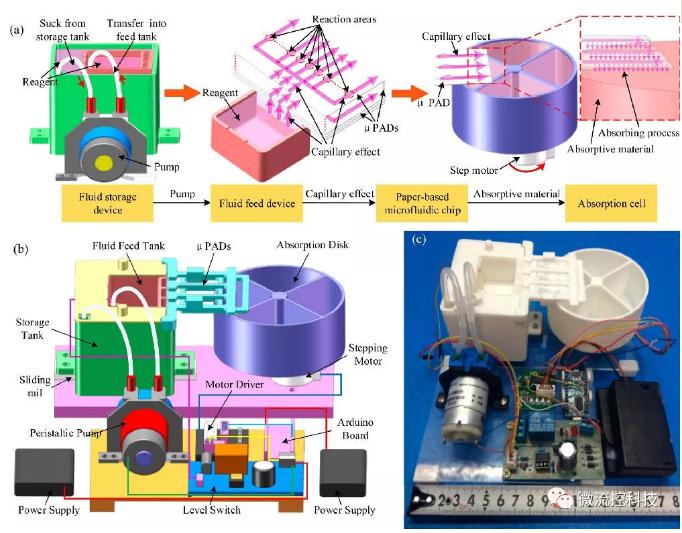 紙基生物芯片系統(tǒng)解構(gòu)及原理