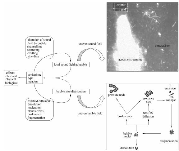 圖3反應(yīng)器中聲空化行為——復(fù)雜聲場和氣泡場的動態(tài)耦合