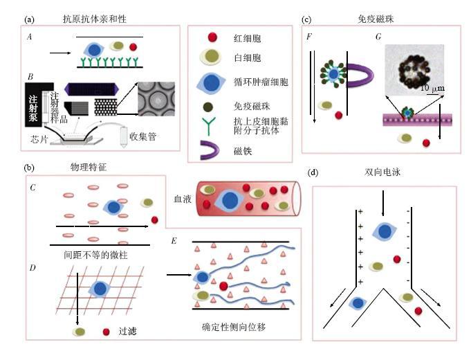 圖1微流控芯片捕獲CTCs各類芯片結(jié)構(gòu)示意圖