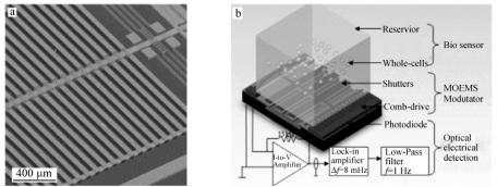 圖2整合的微光電機(jī)械系統(tǒng)(MOEMS)(a)和細(xì)胞傳感生物傳感芯片實(shí)驗(yàn)室系統(tǒng)(b)