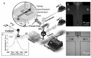 圖3CARS細(xì)胞計(jì)量檢測(cè)系統(tǒng)和芯片上流體聚焦效應(yīng)