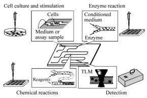 圖5基于微芯片的生物分析系統(tǒng)