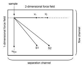 圖5芯片二維分離機(jī)理示意圖