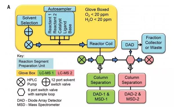 連續(xù)流平臺的自動取樣-反應(yīng)-分析平臺示意圖?？紤]到待測的化學(xué)物質(zhì)可能對空氣和濕度敏感，作者將反應(yīng)器組裝在手套箱環(huán)境中（圖片來源：《科學(xué)》）