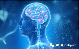 從實(shí)際應(yīng)用出發(fā)，讓標(biāo)志物助力精準(zhǔn)診斷