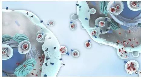 眾望所歸，液體活檢技術(shù)將迎來全新發(fā)展時代