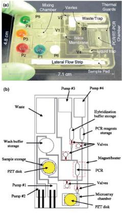 聚碳酸酯微流體盒，其中袋填充染料更好的可視化，他們被設(shè)計來存儲各種試劑和緩沖區(qū)