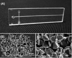典型的纖維電泳微芯片的照片和玻璃纖維包裝的微通道的橫截面的SEM圖像。