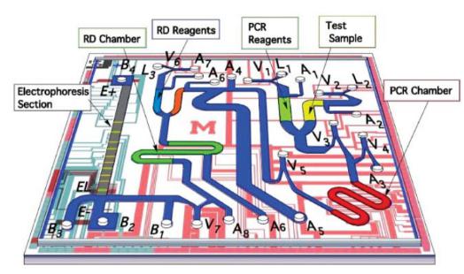 來自Pal等具有集成電泳分析的微流控PCR芯片，