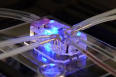 細(xì)胞生物學(xué)微細(xì)加工技術(shù) 細(xì)胞生物學(xué)微細(xì)加工技術(shù)