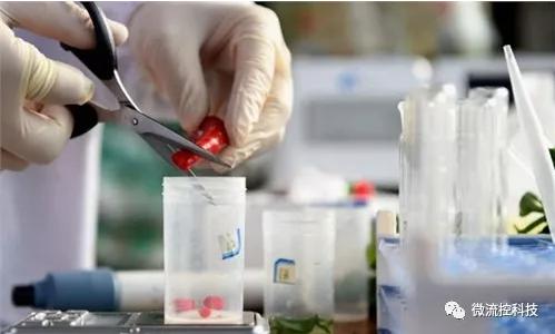 食品安全檢測市場發(fā)展趨勢分析 快速檢測市場前景樂觀 食品安全檢測市場發(fā)展趨勢分析 快速檢測市場前景樂觀