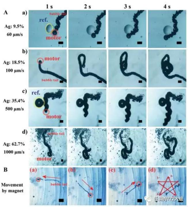 圖3. 不同Ag顆粒表面濃度的自驅(qū)動微馬達(dá)驅(qū)動速度和在磁場作用下的五角星運動軌跡 圖3. 不同Ag顆粒表面濃度的自驅(qū)動微馬達(dá)驅(qū)動速度和在磁場作用下的五角星運動軌跡