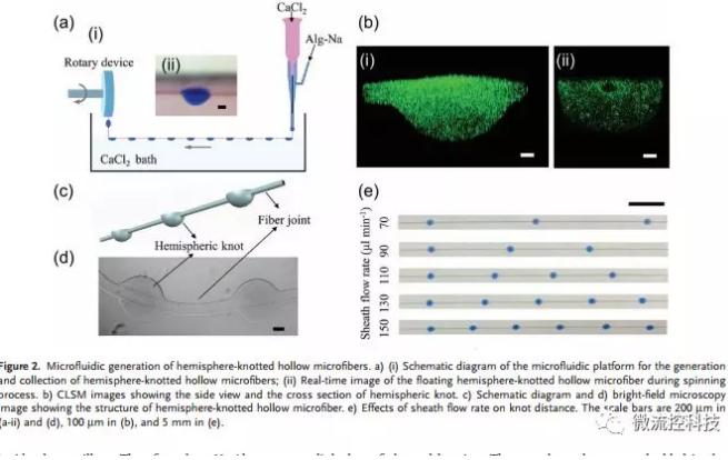 微流控免油紡絲法制備具有不同結點和可灌注通道的仿項鏈微纖維 微流控免油紡絲法制備具有不同結點和可灌注通道的仿項鏈微纖維