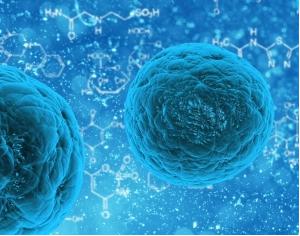 3D細胞培養(yǎng)