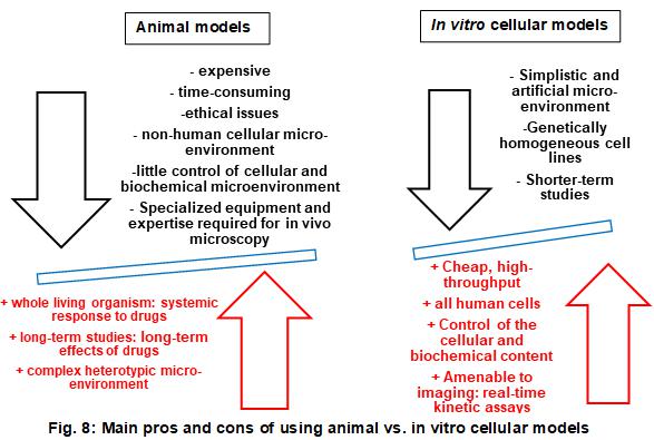 大多數(shù)優(yōu)點(diǎn)和缺點(diǎn)適用于整個(gè)體外模型，即2D和3D蜂窩系統(tǒng)