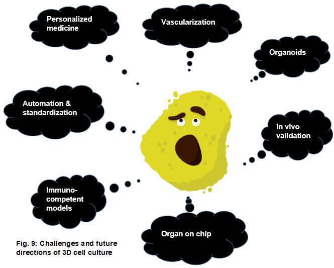 顯微鏡下3D細(xì)胞培養(yǎng)的未來(lái)