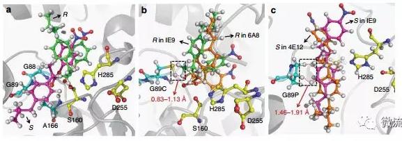 針對(duì)該問(wèn)題，上海交通大學(xué)楊廣宇研究員團(tuán)隊(duì)建立了基于雙通道液滴微流控技術(shù)的酶立體選擇性超高通量篩選方法，能夠在微液滴中以高達(dá)每天107個(gè)突變體的速度同時(shí)檢測(cè)目標(biāo)酶對(duì)兩種對(duì)映體底物的催化活性，并高效分選出陽(yáng)性個(gè)體。