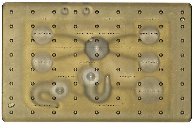 開放式微流控系統(tǒng)：同時(shí)研究多個(gè)器官系統(tǒng)上的藥物效應(yīng)