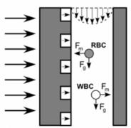 用微流控進(jìn)行磁性顆粒分選 用微流控進(jìn)行磁性顆粒分選