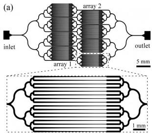 用于 線蟲 誘捕的微流控陣列夾具 用于 線蟲 誘捕的微流控陣列夾具