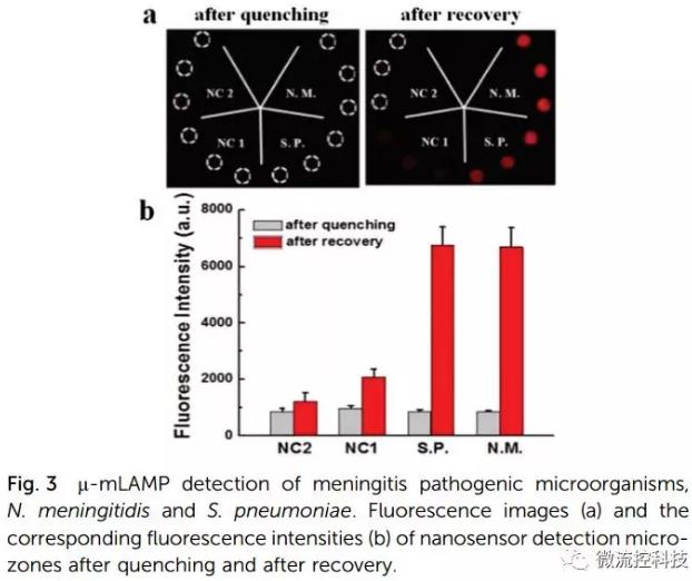紙基聚合物基混合可旋轉(zhuǎn)微流控芯片實(shí)現(xiàn)多種傳染性疾病的及時(shí)定量診斷 紙基聚合物基混合可旋轉(zhuǎn)微流控芯片實(shí)現(xiàn)多種傳染性疾病的及時(shí)定量診斷
