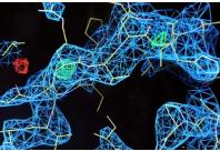 芯片實驗室與分子生物學