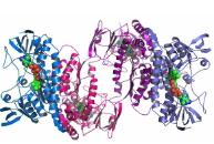 芯片實驗室和蛋白質(zhì)組學