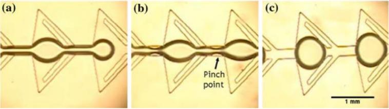 圖4：顯示由于微流體裝置中特別設(shè)計(jì)的通道幾何形狀而在油中形成水滴的圖像。（a）顯示水流通過狹窄的通道夾點(diǎn)時(shí)存在較薄的流體流。（b）示出了在水流停止之后，夾點(diǎn)中的水變得不穩(wěn)定并且開始中斷水的連續(xù)性。（c）顯示了所形成的單分散水滴的形成。Wu等人的圖片&nbsp;“靜態(tài)條件下微通道中液滴的形成”。