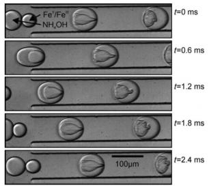 顯示通過氯化鐵溶液液滴與氫氧化銨液滴在通道旁邊的電極施加的電場的影響下形成氧化鐵納米顆粒的圖像。來自Frenz等人的圖片 “用于合成磁性氧化鐵納米粒子的基于液滴的微反應(yīng)器”