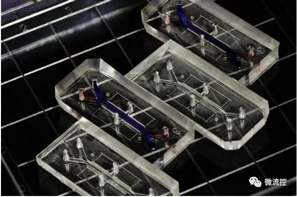 膠原蛋白膜有助提升器官芯片準(zhǔn)確度 膠原蛋白膜有助提升器官芯片準(zhǔn)確度